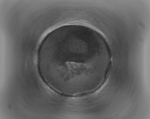 X0000114161506200910221557