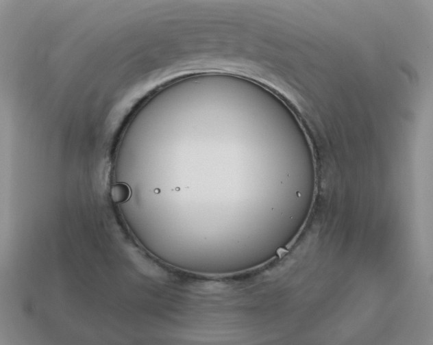 X0000114161507200910221557