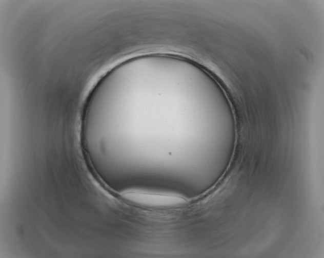 X0000114161508200910221557