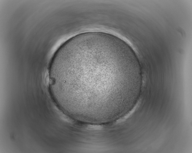 X0000114161509200910221557