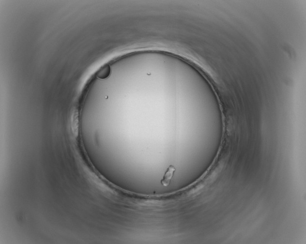 X0000114161510200910221557