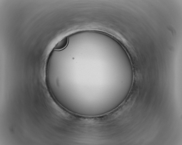 X0000114161512200910221557