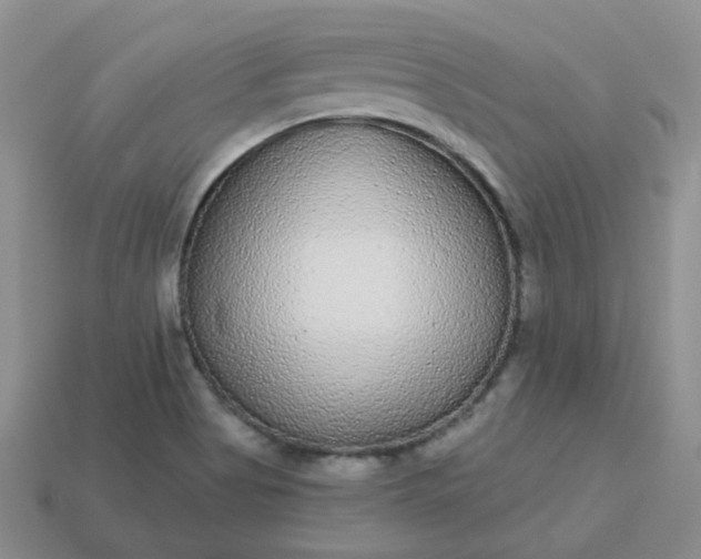 X0000114161513200910221557