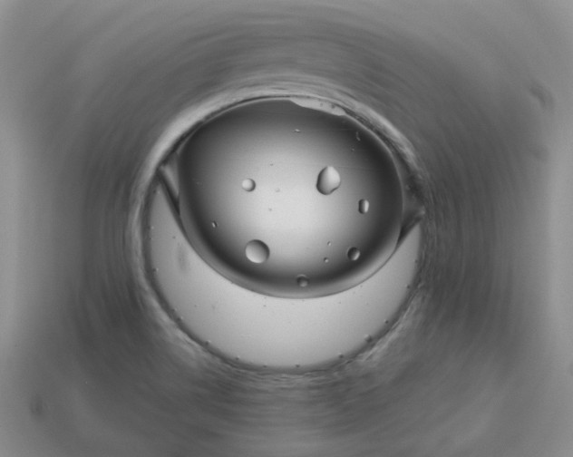 X0000114161514200910221557