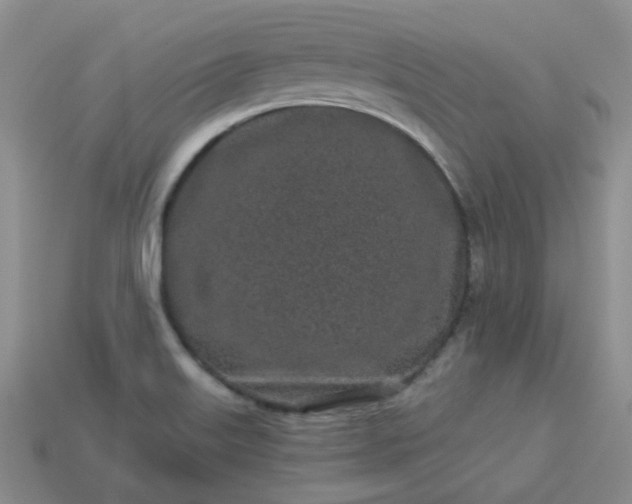 X0000114161515200910221557