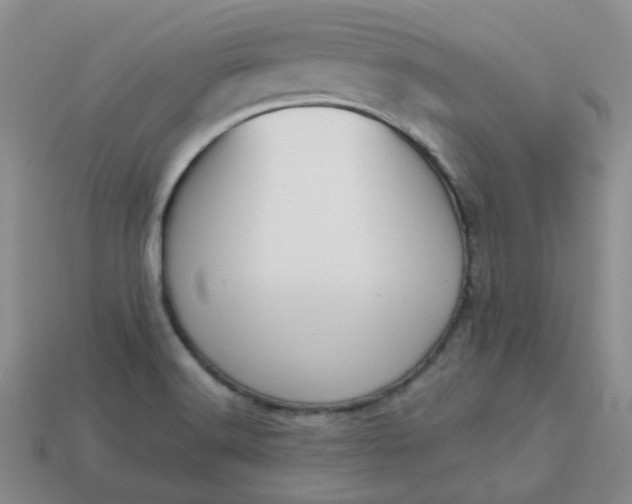 X0000114161516200910221557