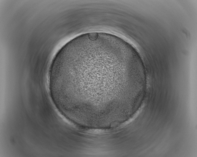 X0000114161517200910221557