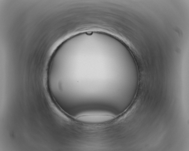 X0000114161518200910221557