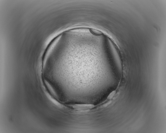 X0000114161519200910221557