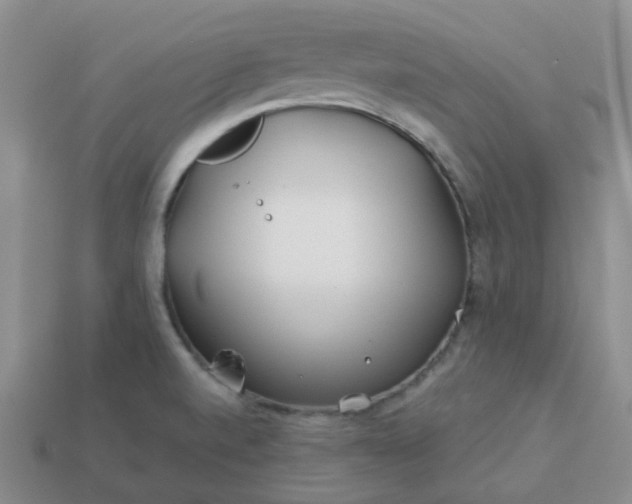 X0000114161520200910221557