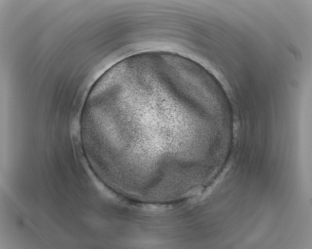 X0000114161521200910221557