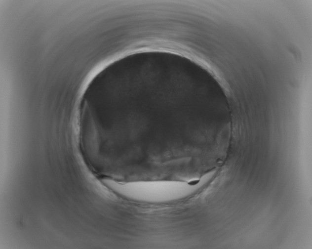 X0000114161522200910221557