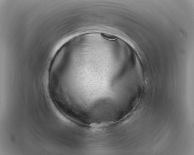 X0000114161523200910221557