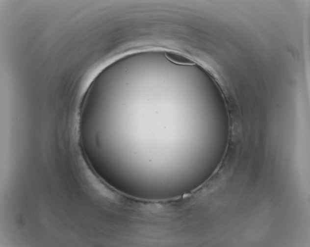 X0000114161524200910221557