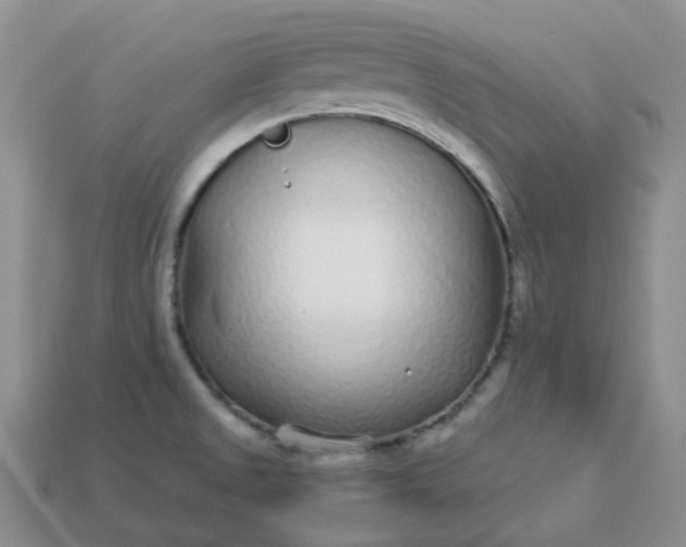 X0000114161525200910221557