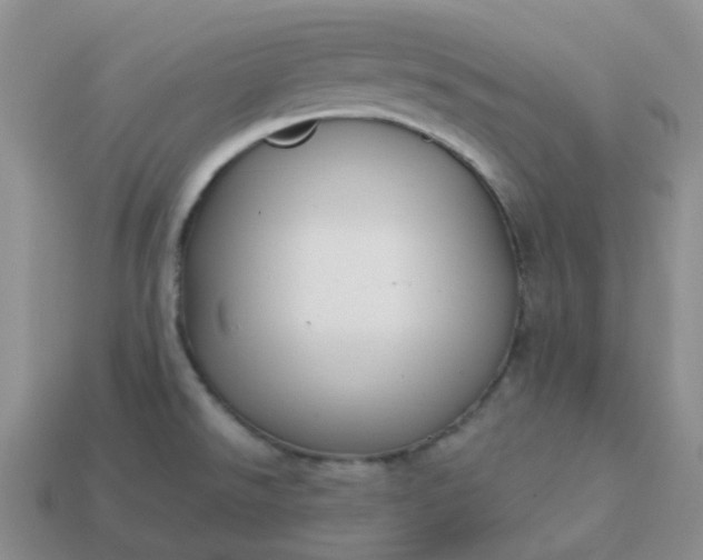 X0000114161526200910221557