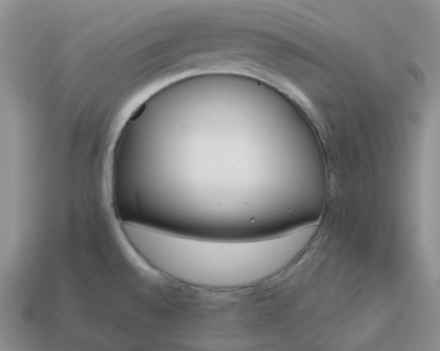 X0000114161528200910221557