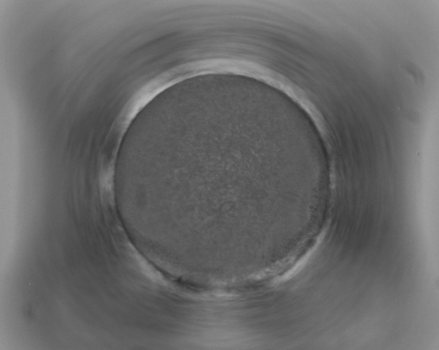 X0000114161529200910221557