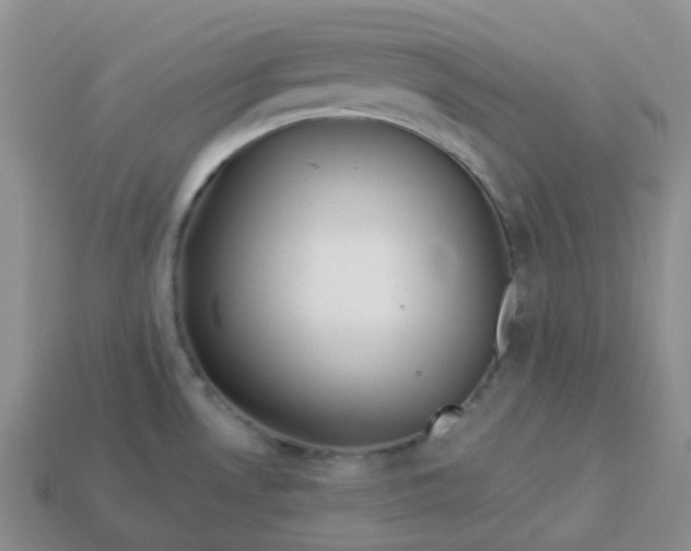 X0000114161530200910221557