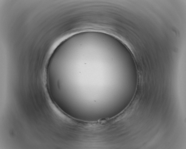 X0000114161531200910221557