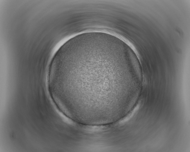 X0000114161533200910221557