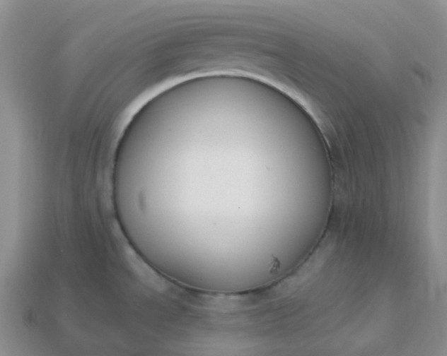 X0000114161534200910221557