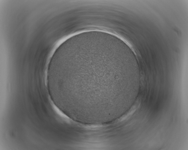 X0000114161535200910221557