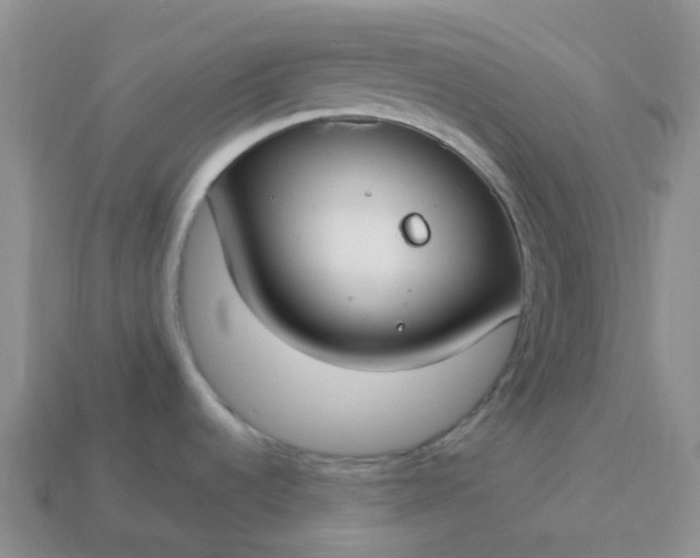 X0000114161536200910221557