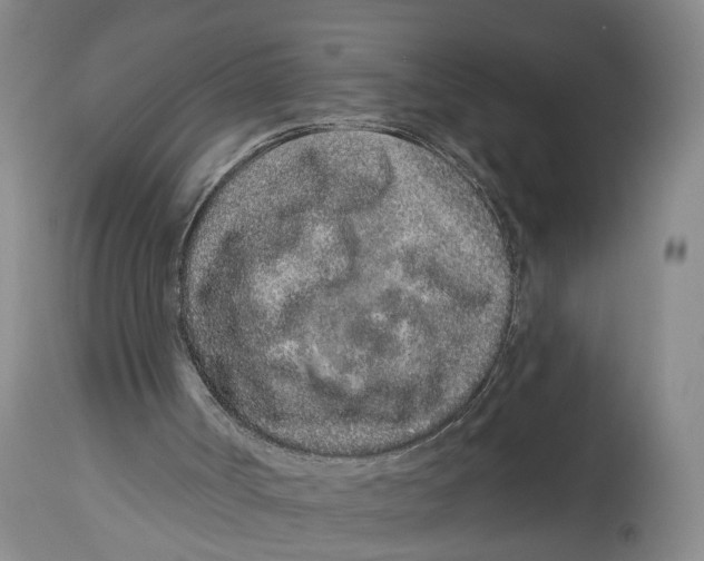 X0000114160002200911051515