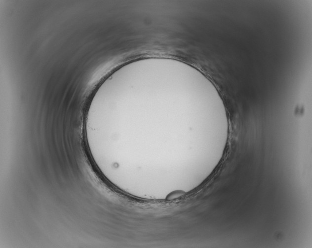 X0000114160005200911051515