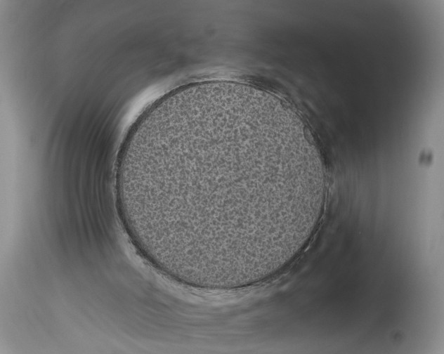 X0000114160006200911051515