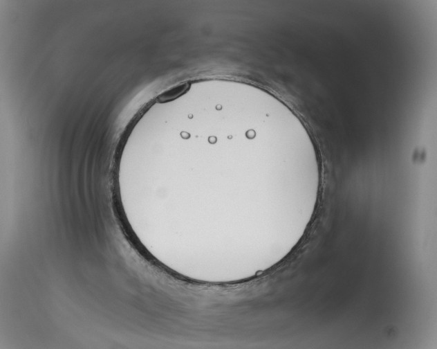 X0000114160007200911051515