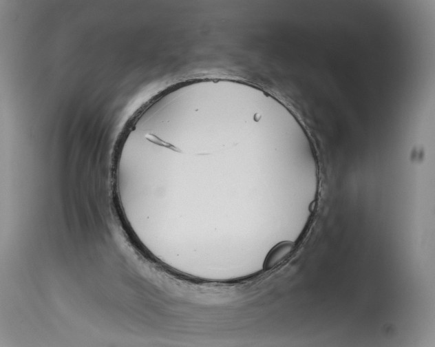 X0000114160008200911051515