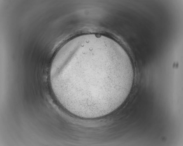 X0000114160010200911051515