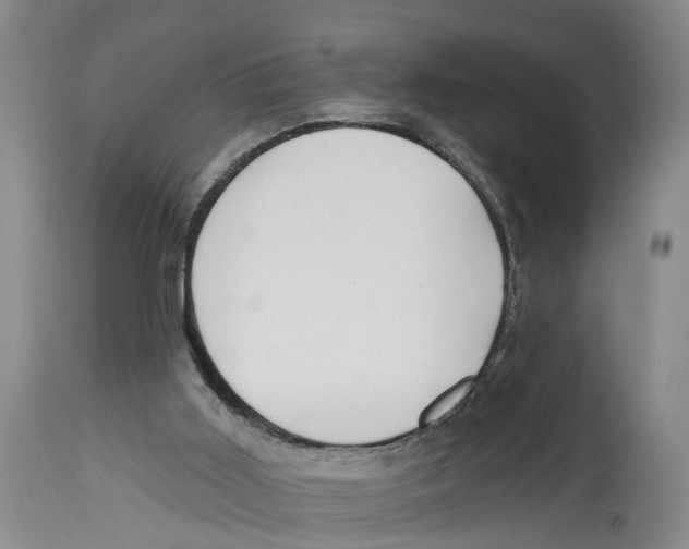 X0000114160011200911051515