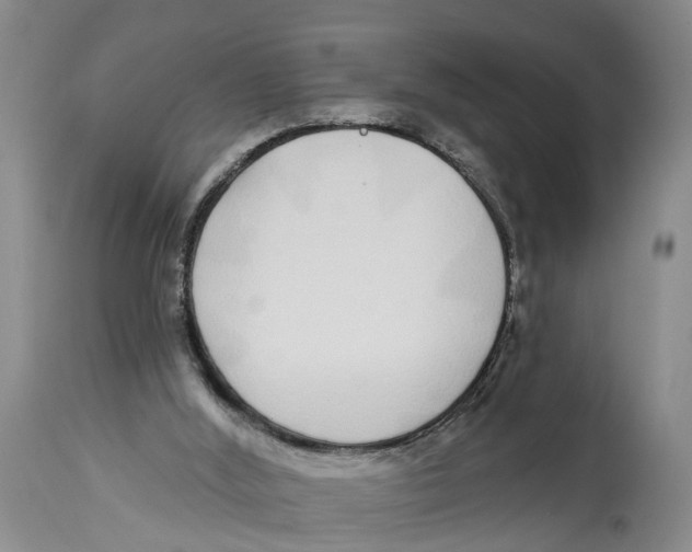 X0000114160012200911051515