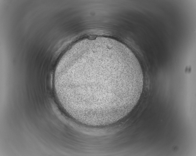 X0000114160014200911051515