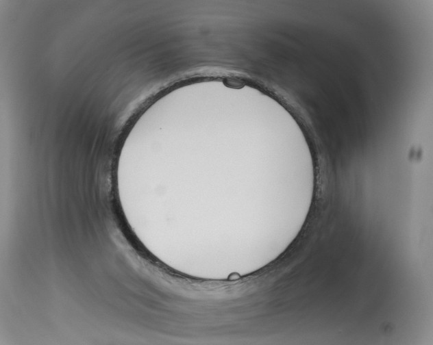 X0000114160015200911051515