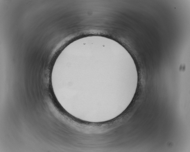 X0000114160016200911051515