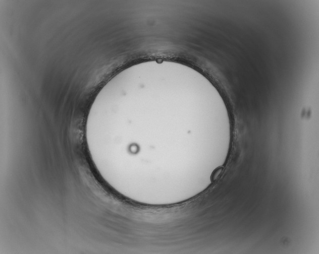 X0000114160017200911051515