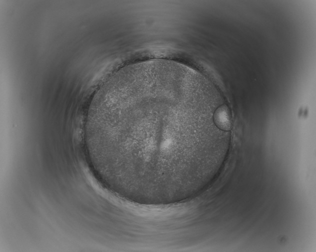 X0000114160018200911051515