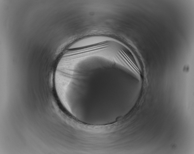 X0000114160019200911051515