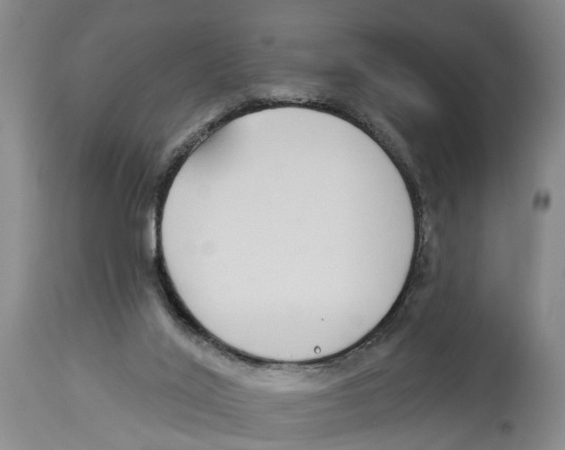 X0000114160020200911051515