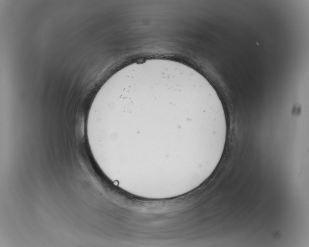 X0000114160021200911051515