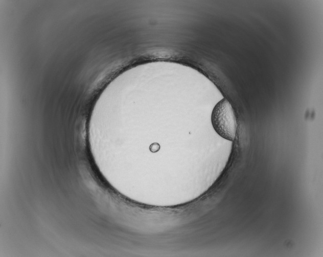 X0000114160024200911051515