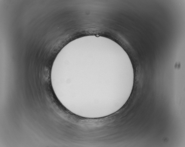 X0000114160025200911051515