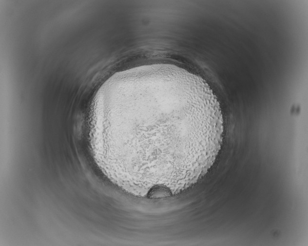 X0000114160026200911051515