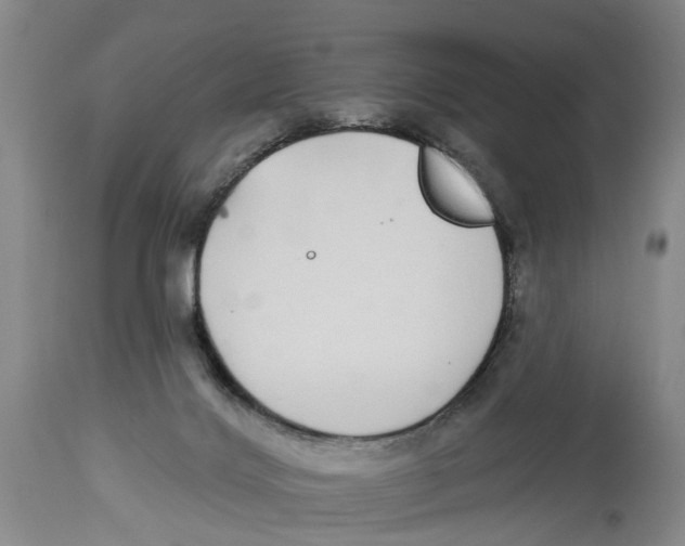 X0000114160028200911051515