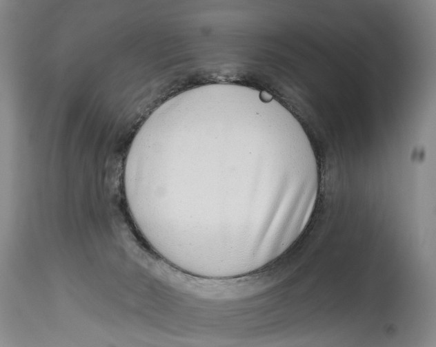 X0000114160030200911051515