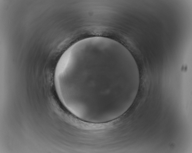 X0000114160031200911051515
